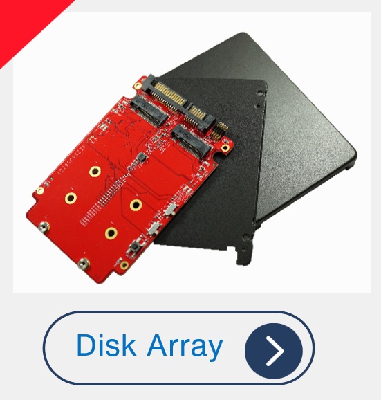 Disk Array
